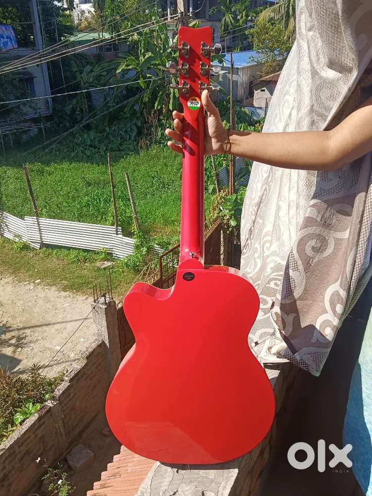 GIVSUN GUITER