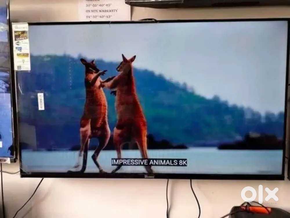 Today best offer all size new smart 4k tv available at low price