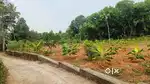 AIRAPURAM KUNNAKKURUDY 10/ 20 CENTS NEAR NMC ROAD MANNOOR NELLAD