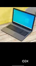 Assistant project manager