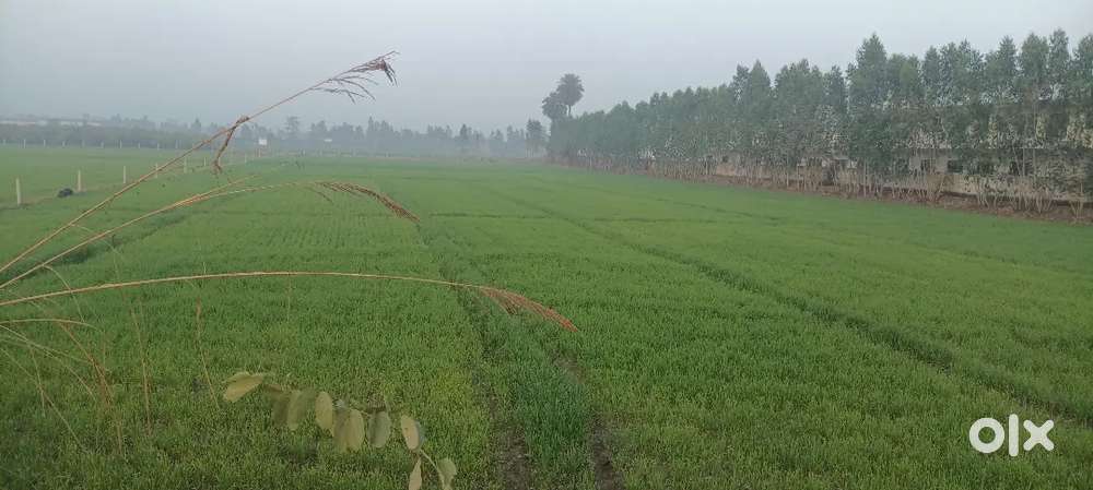 This land is situated on National Highway Rudrapur-kashipur