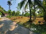 Beautiful house plot