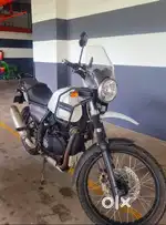 Himalayan 411