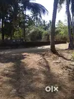 JOB VACNCY FOR FEMALE AS 2WHELR DRIVER IN OFICE AT RUMDAMOL MARGAO GOA