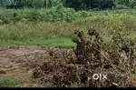 TENKASI RAIL NAGAR LAND FOR SALE
