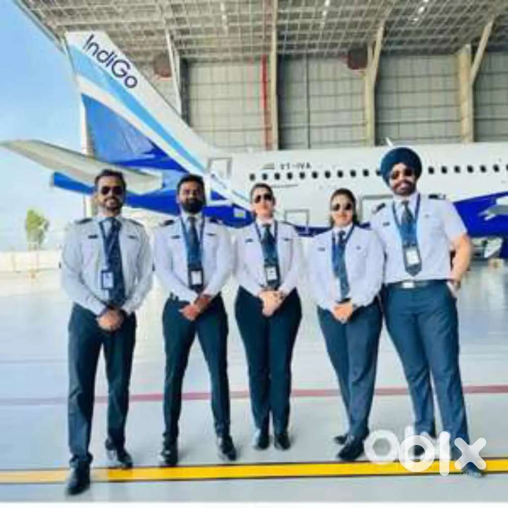 Domestic/International Airport Ground Staff Jobs in Indigo Airlines
