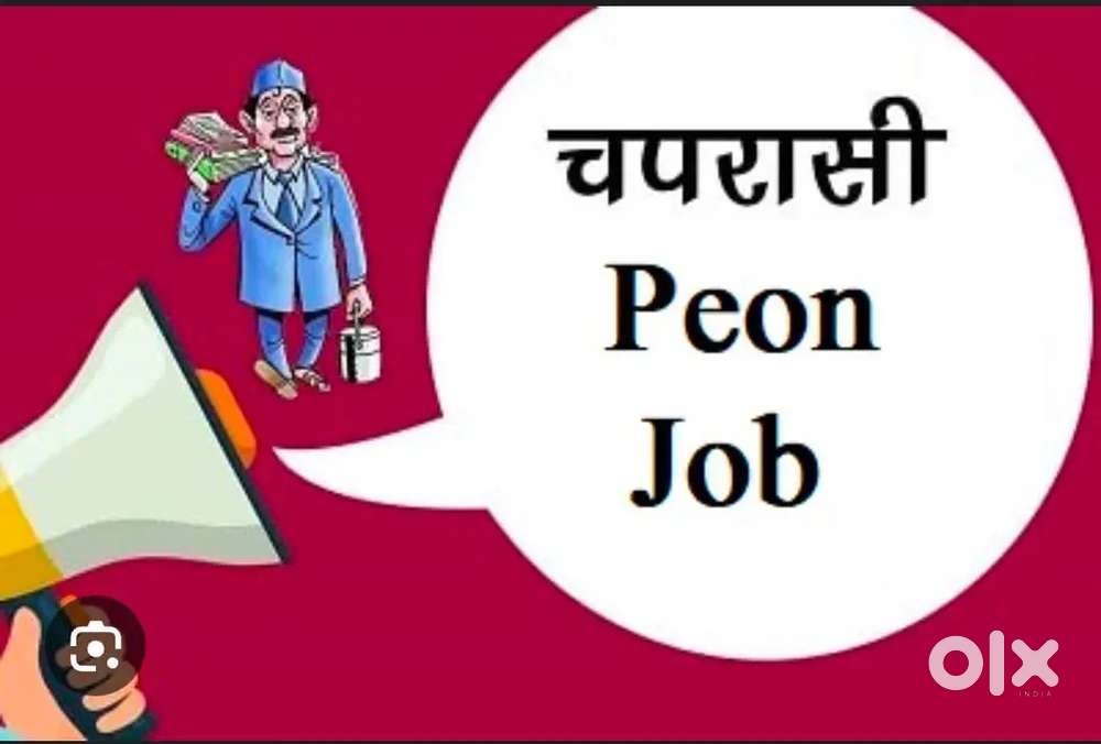 Peon job office Ludhiana