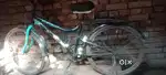 Gang ka bilkul accha cycle hai