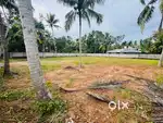 20 Cent Residential Plot for Sale Kaniyapuram Trivandrum