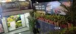 sale for all Cafe setup, shop rent, all Cafe equipments, furniture.