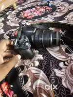 Nikon D3100