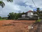 5.05 Cent, 8.5Lakhs/ Cent Plot For Sale At Thrikkakkara