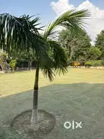 Farm land 64.99 lac me TechZone 1 , G.