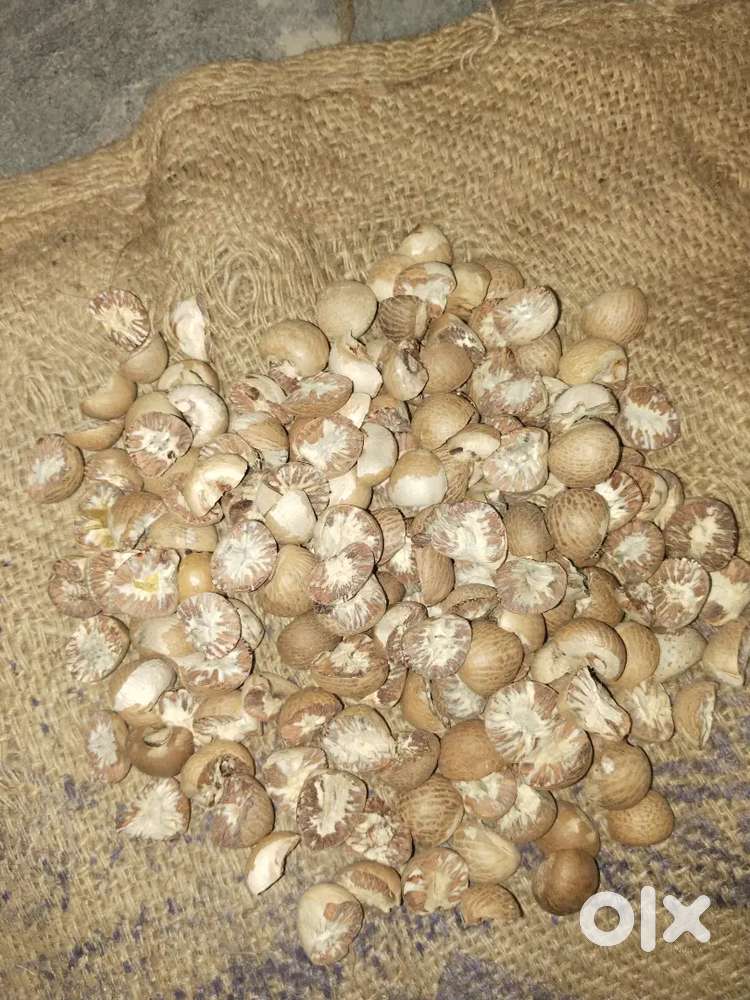 chaliya, arecanut, beetlenut