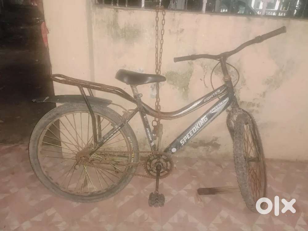 Speedking cycle