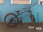 Lifelong 21 Gear Bicycle