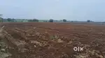 Farm house Plot in Bachukheda panbihar road near garoth highway Ujjain