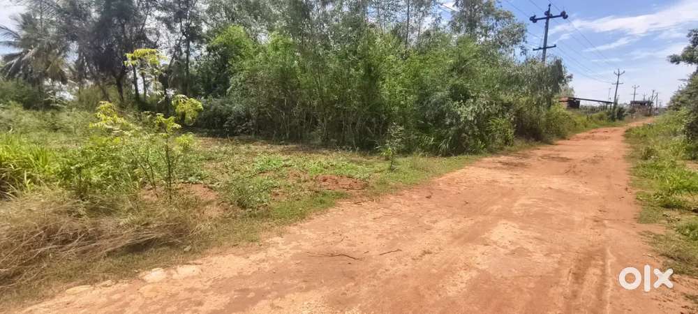 Urgent sale நாஞ்சிக்கோட்டை சூரியம்பட்டி பிளாட்