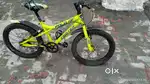 Cycle cycle