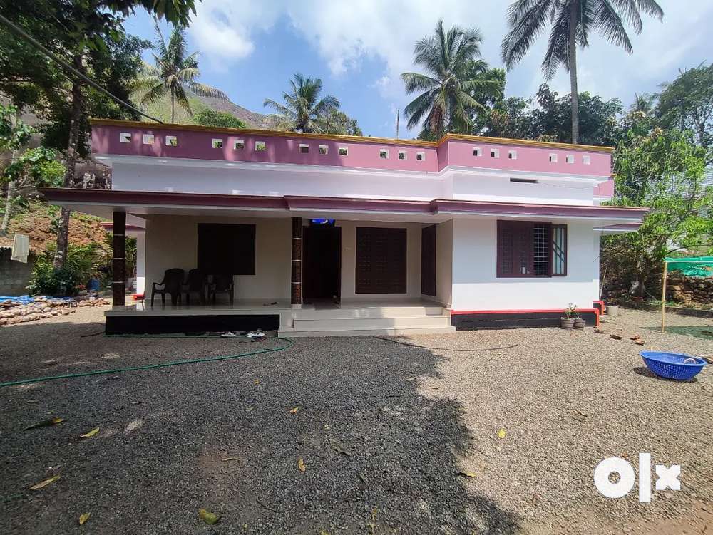 House and agricultural land for sale