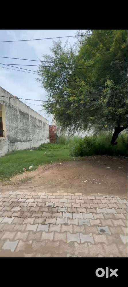 Plot with Wide Road – Immediate Possession