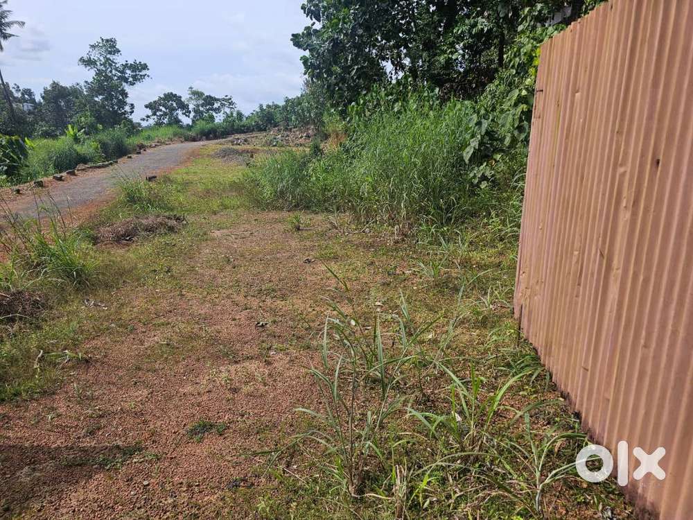 Plot for Sale  Kottarakara  6 Cent plot in Kottarakara Near MC ROAD