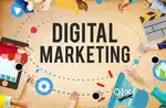 Content Writer, Digital Marketing, web-developer