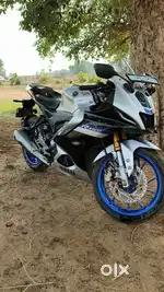 Top model,duel colour,R15M