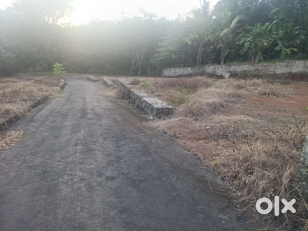 Pulllikamali town 100 mtr 4,5,6 cent houseplot