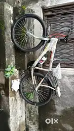 New brand cycle