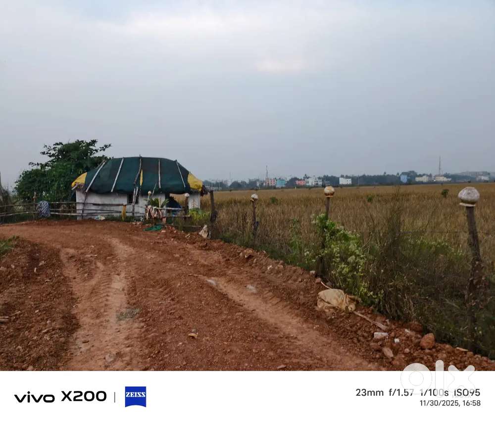 Allms hospital back sijua patrapada bhagwanpur