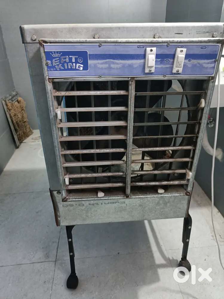 Cooler (1 year old) (Non-negotiable)