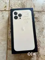 iPhone 13 pro max