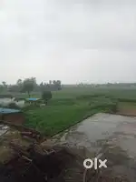 Agriculture/Commercial Land for Sell, 1 Bigha to 200 bigha