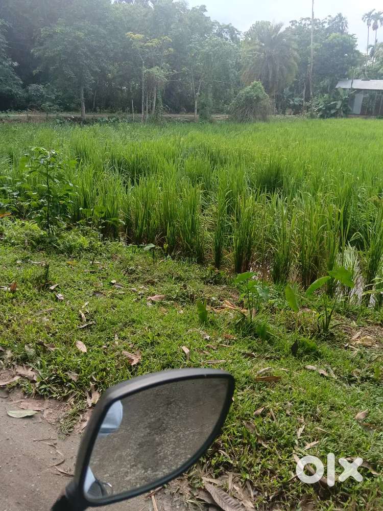 Land sell in baksa