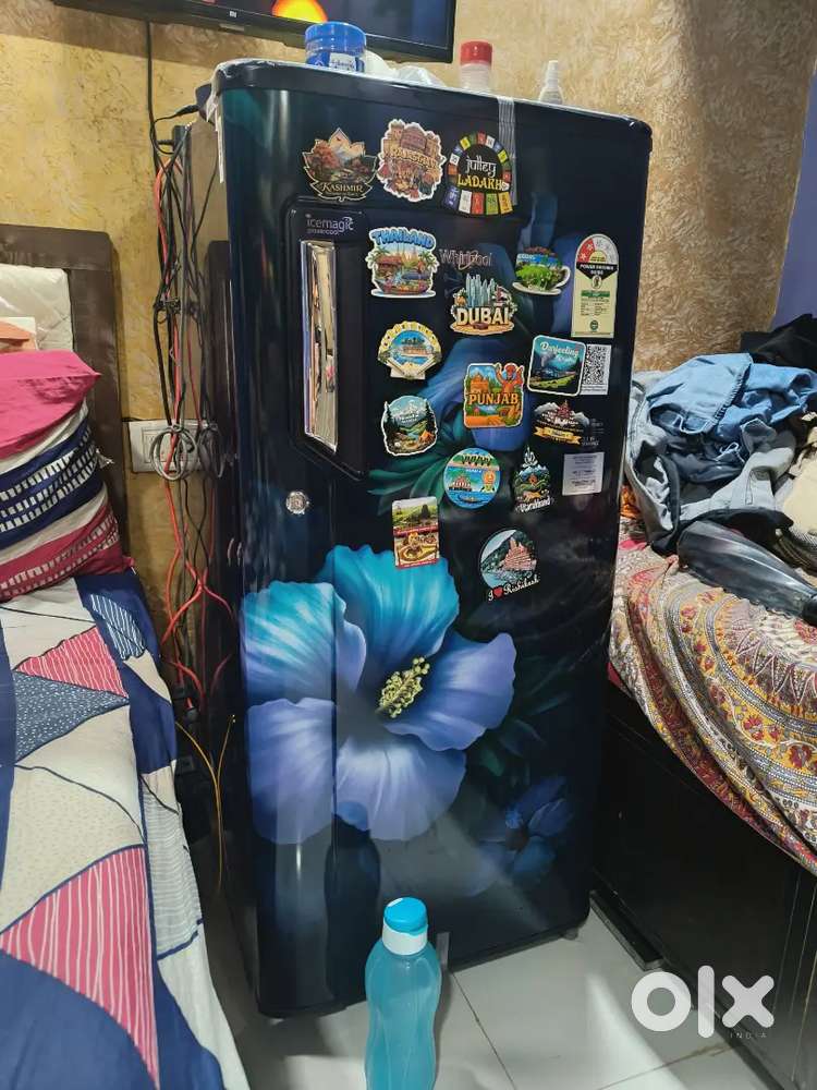 Fridge single door new