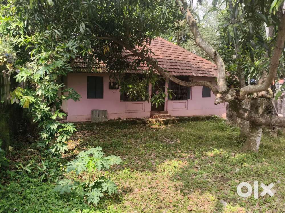 Land for sale in Punnakkamugal