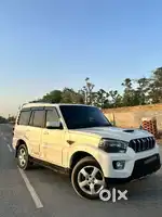 Only Scorpio S11