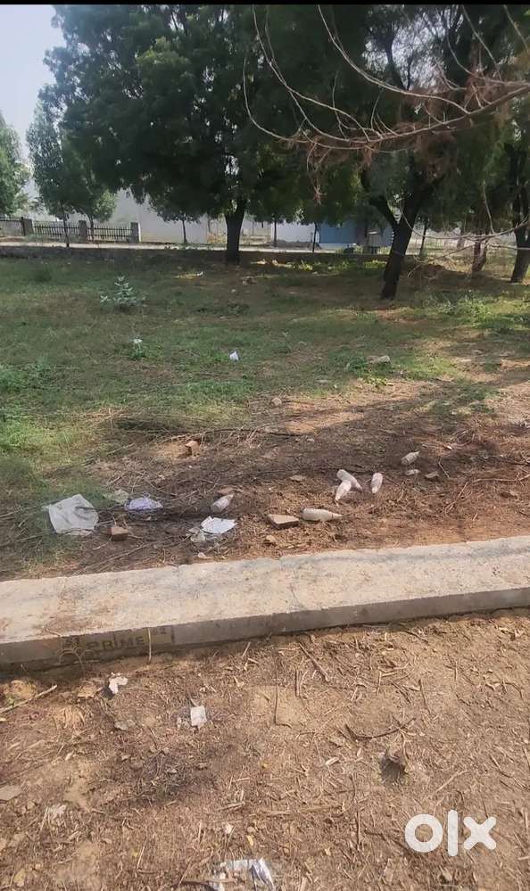 Govind bagh pearl and prime