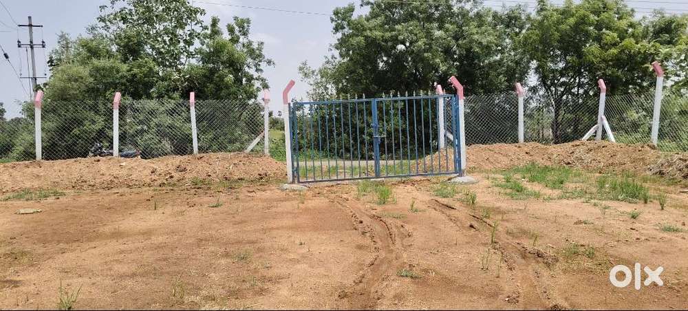 Dambar Road BIT,Suitable for FarmHouse,20 Guntas Agriculture land sale