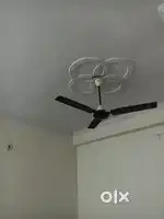 Sharing flat fully independent  Near Drishti coaching only boys