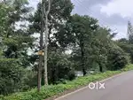 8 CENT COTTAGE PLOT FOR SALE IN MANJOORA,WAYANAD.