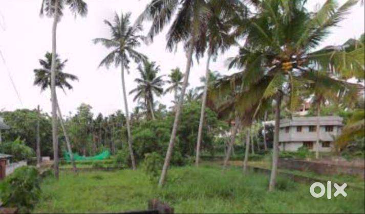 15 cent land for sale in trivandrum sreekaryam an the price negotiable