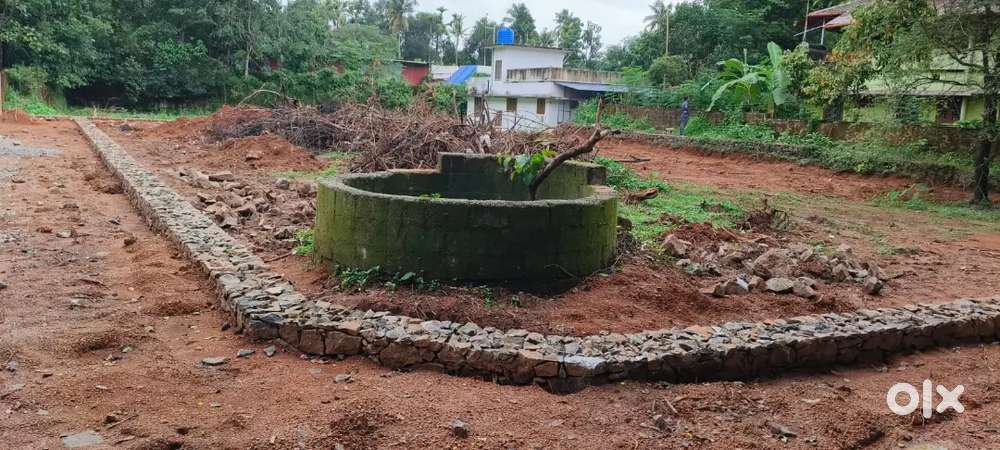 അങ്കമാലി ചിറങ്ങര NH ൽ നിന്നും 2 km മാറി 4 cent മുതൽ ഹൗസ് പ്ലോട്ടുകൾ