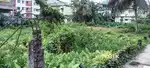 1st link road lane no 4 khatha plot for sale