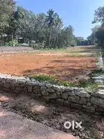 Thriveni Jn Venjaramood
