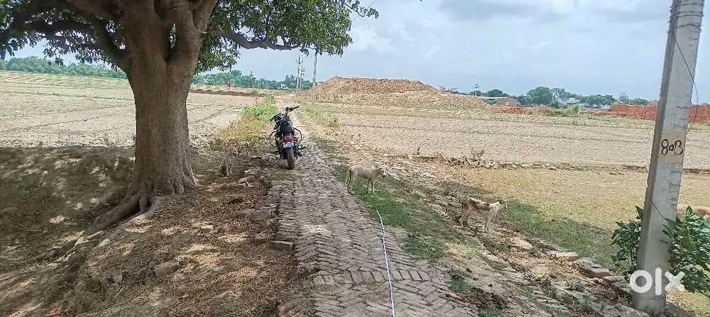 Harahua hathuwar babatpur