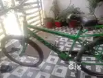 Best cycle brand Goal Dynamd