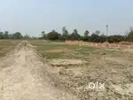 20 Kattha land with clear title at Ranipur, boundary via chain link