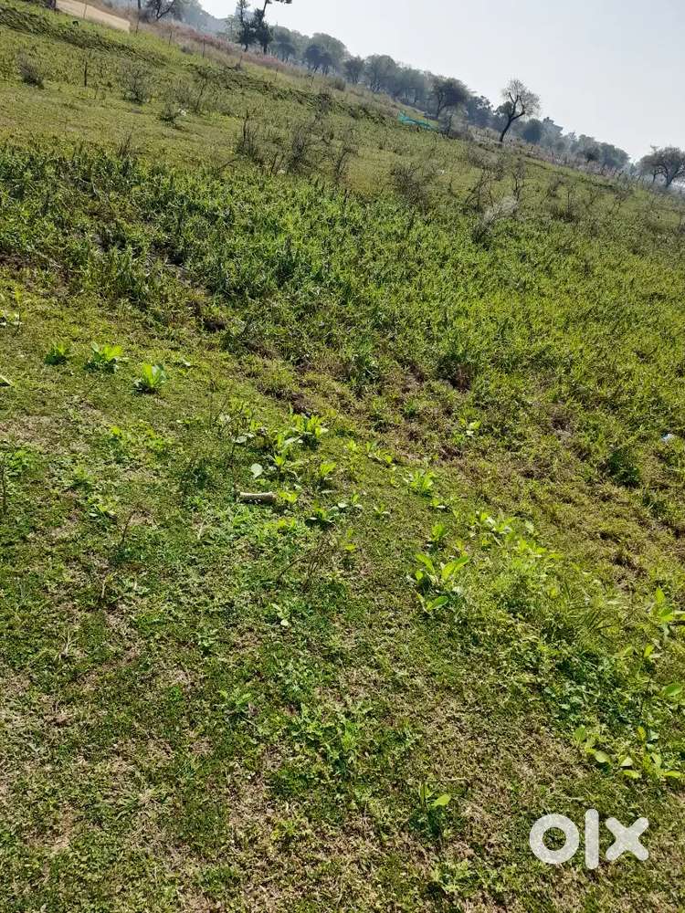 54 Dismill Plot for sale in Navagaon